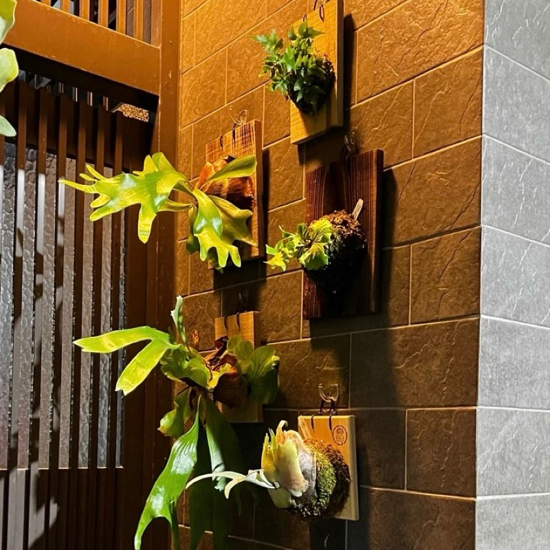 [Beargood sticker] Over-the-Door Clothes Rack (Adhesive Mount), , large