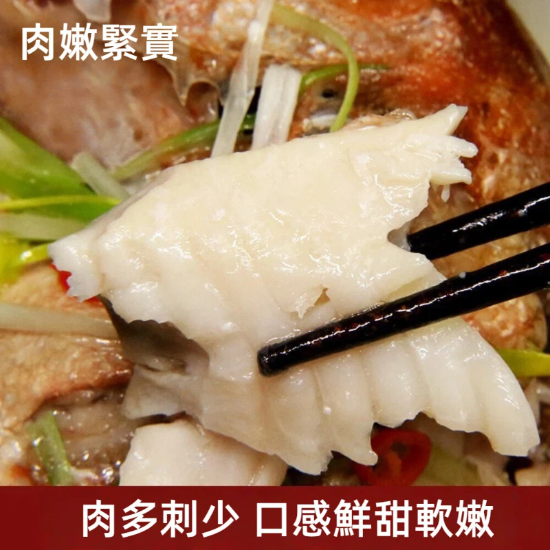 Red striped grouper, , large