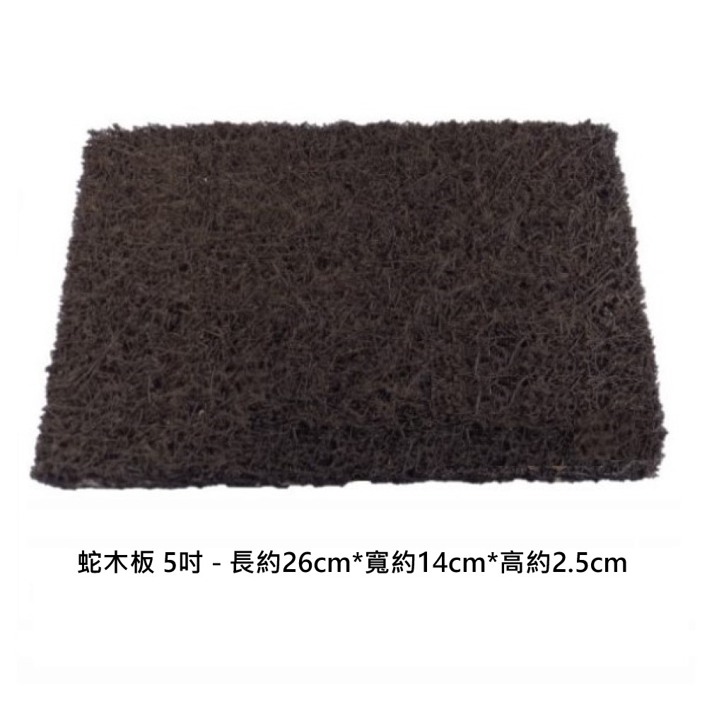 Tree ferm board 5 inch, , large