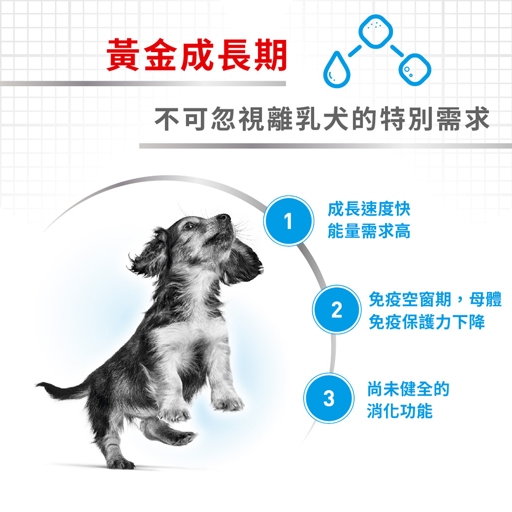 Royal Canin法國皇家 皇家小型離乳犬與母犬MNS, , large