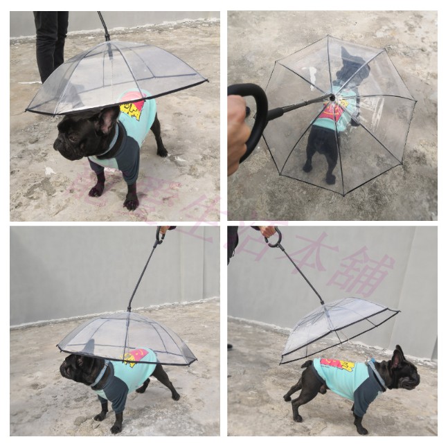【寵愛生活本舖】寵物C型鍊條牽繩雨傘 狗雨傘 貓雨傘 可超取, , large