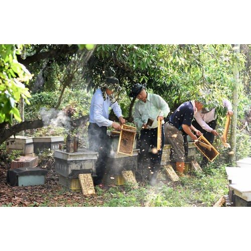 [皇廷] Competition level longan honey 3000g（CERTIFIED DOCUMENT . TAP）, , large