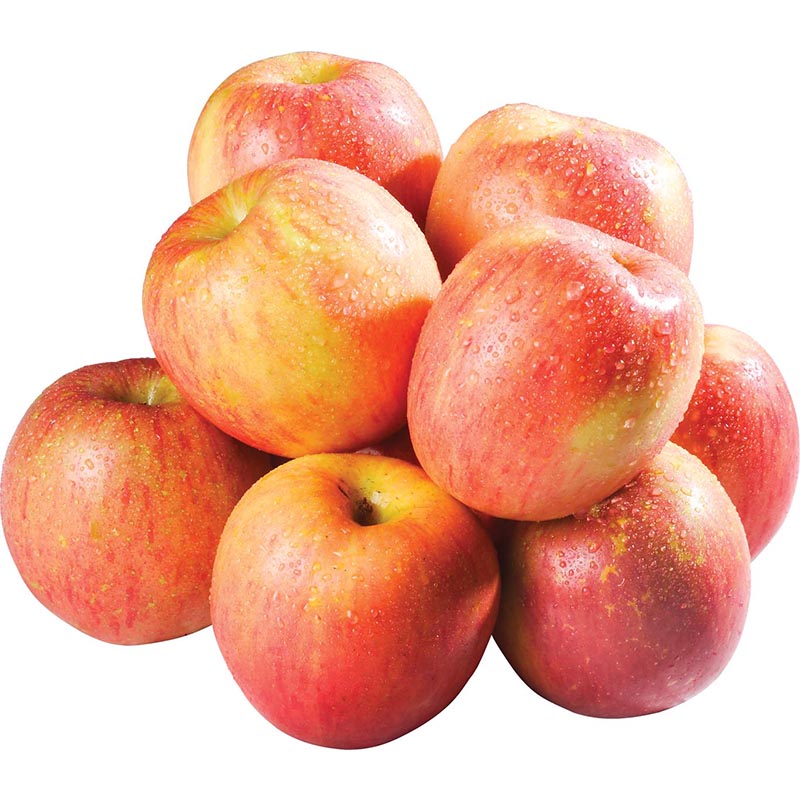 富士蘋果#70, , large