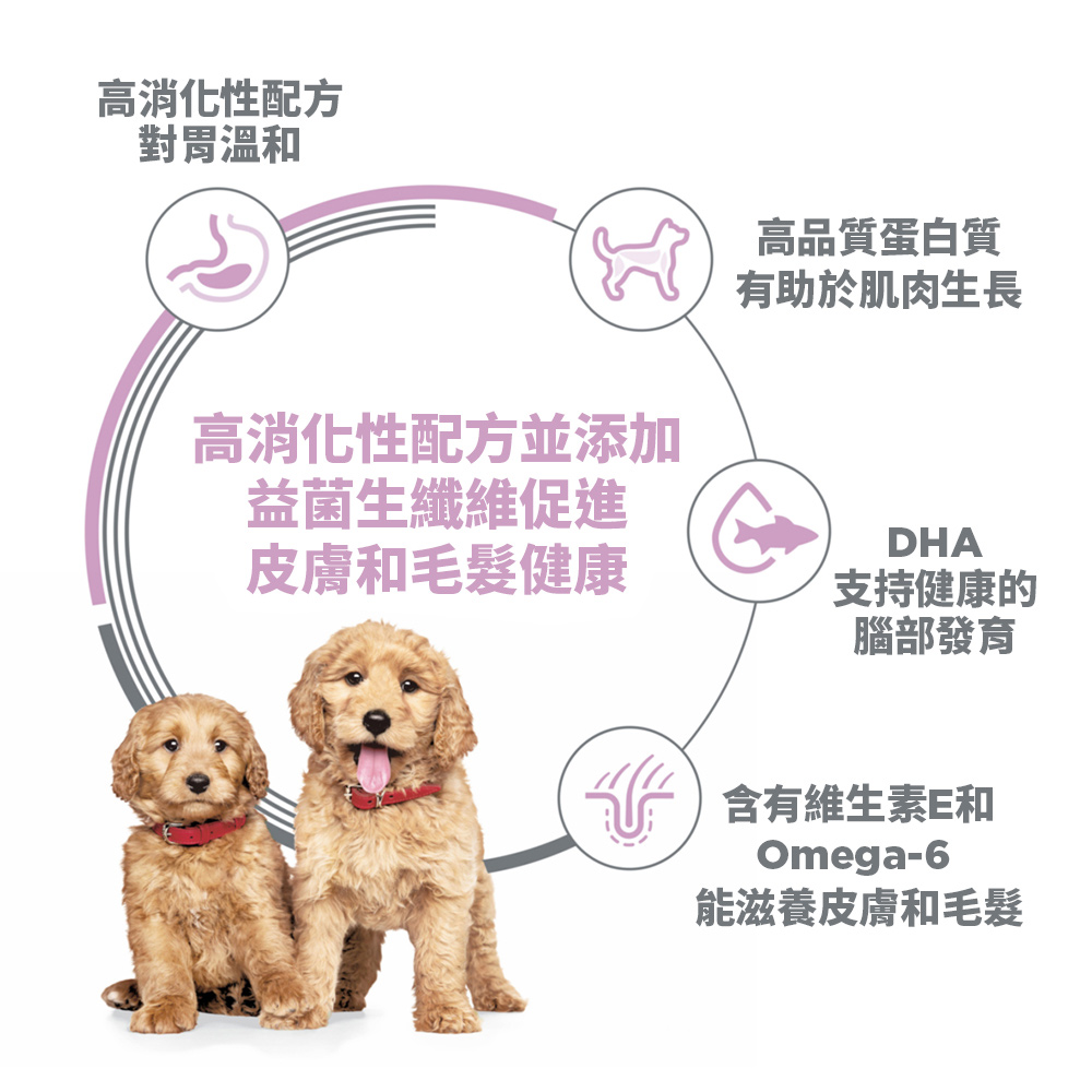 【Hills 希爾思】幼犬 敏感胃腸與皮膚 鮭魚與糙米特調 4磅 1.81kg (608510), , large