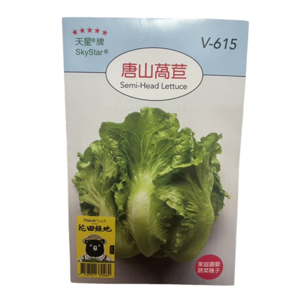 【向花緣】天星牌 唐山萵苣 - 蔬菜種子, , large