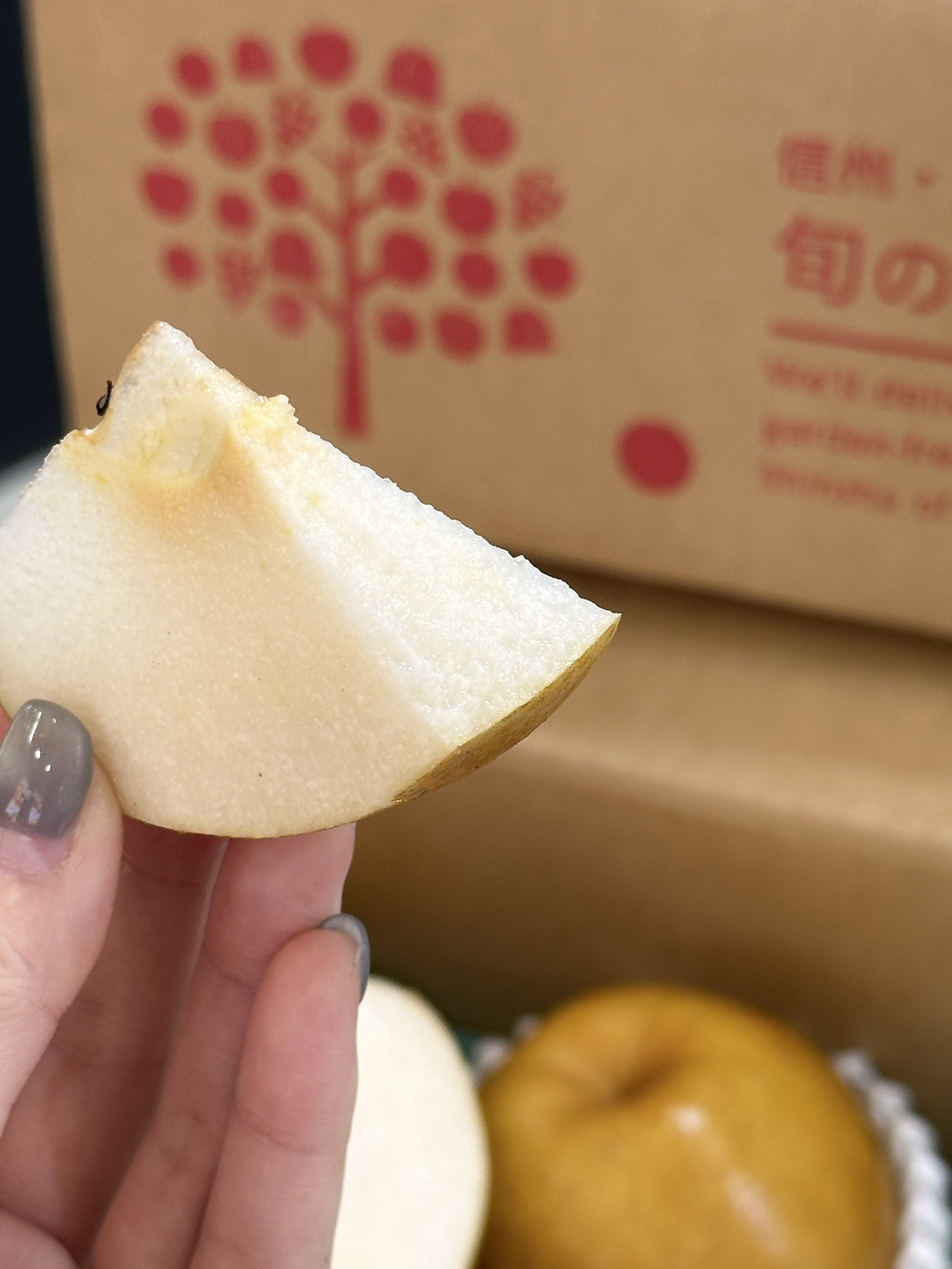 Nagano Pear (Japan), , large