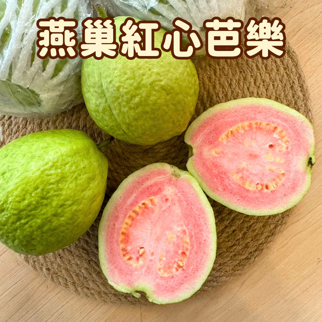 Red Guava, , large