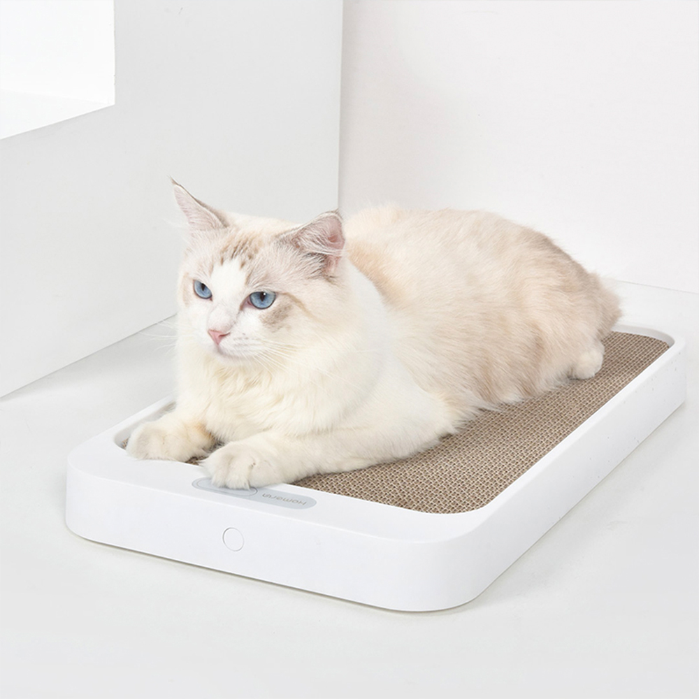 Homerunpet pet scale, , large