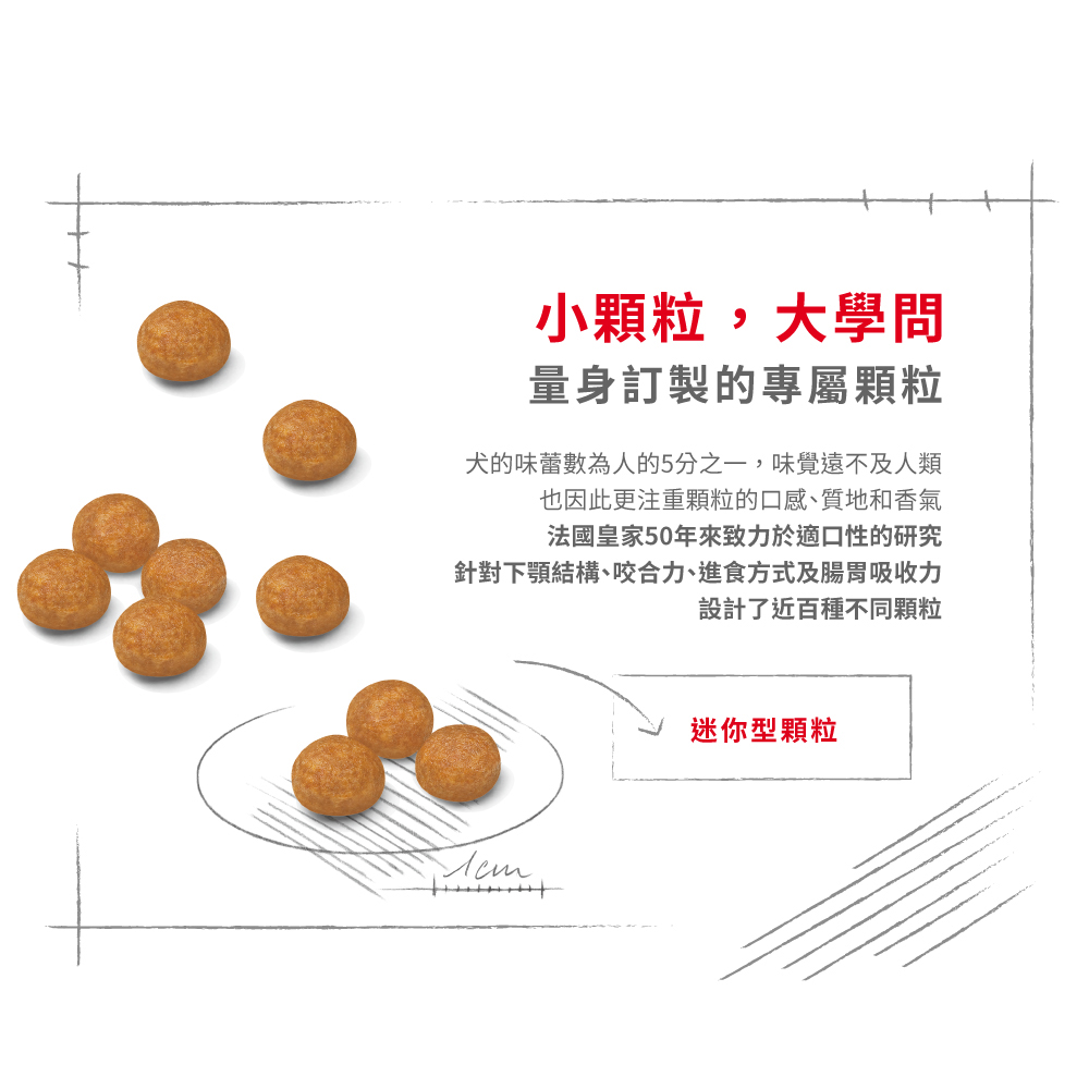 Royal Canin法國皇家 超小型成犬XSA, , large