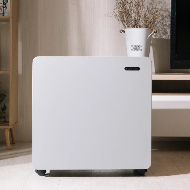 【LUFTRUM 瑞際】電漿除菌空氣清淨機BC600(雷神清淨機), , large