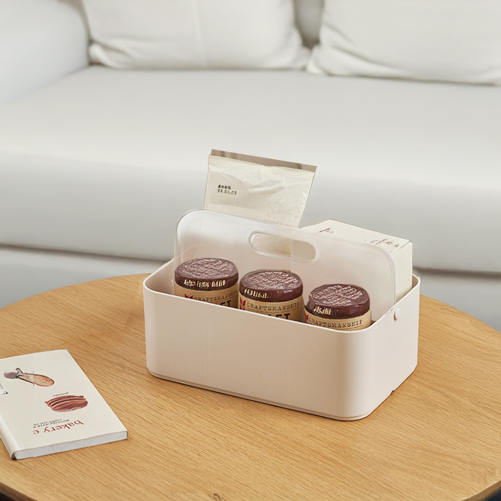 carry-storage-box, , large