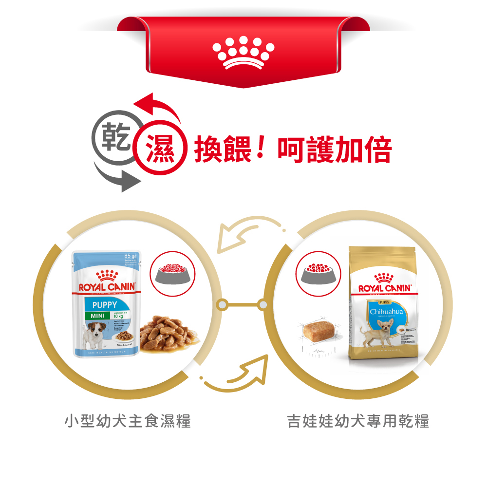 Royal Canin Chihuahua Puppy CHP, , large