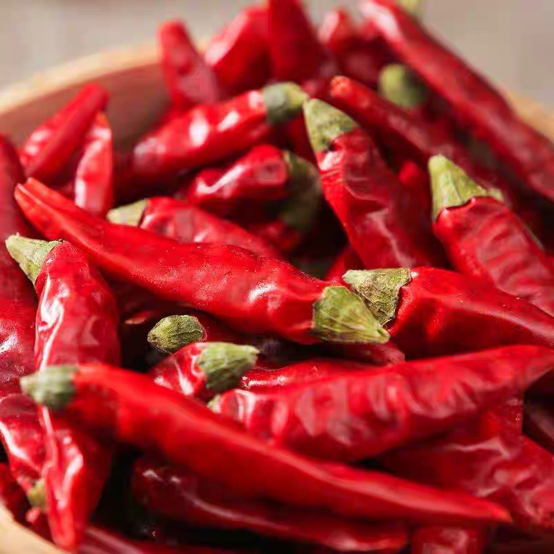 四川乾辣椒 朝天椒, , large