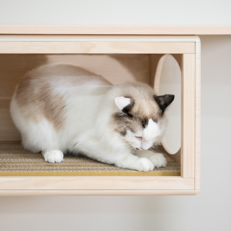 【paipaipets】Cat Scratcher Cardboard - 49, , large