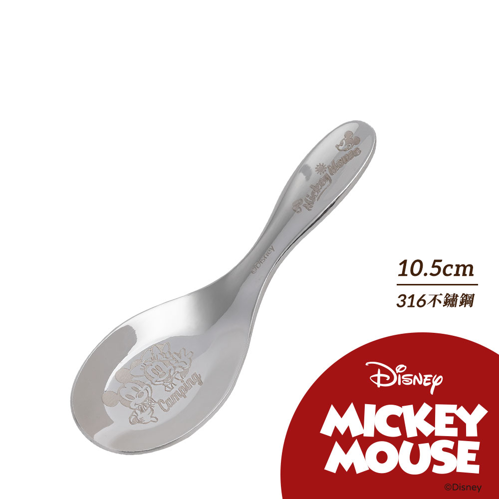 STAINLESS STEEL SPOON-SMALL, , large
