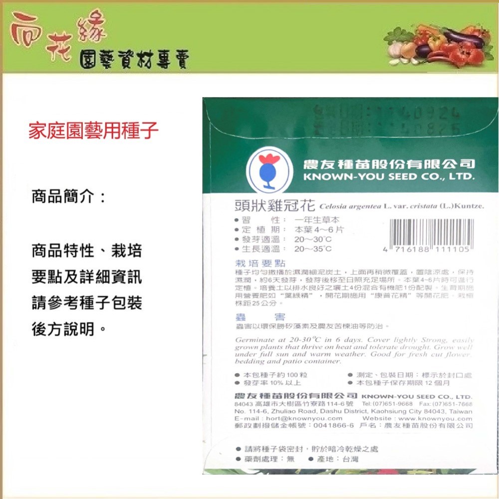 【向花緣】農友 頭狀雞冠花 - 花卉種子, , large