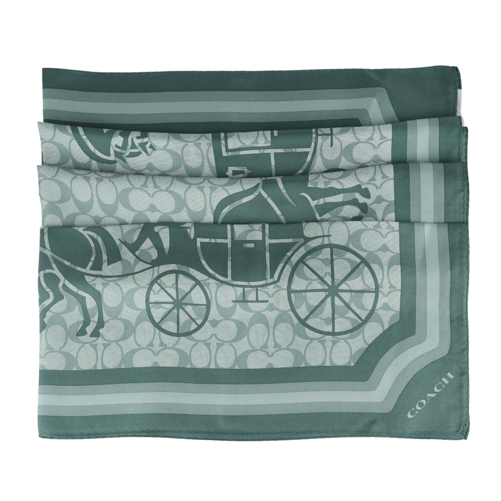 Kerchief, , large