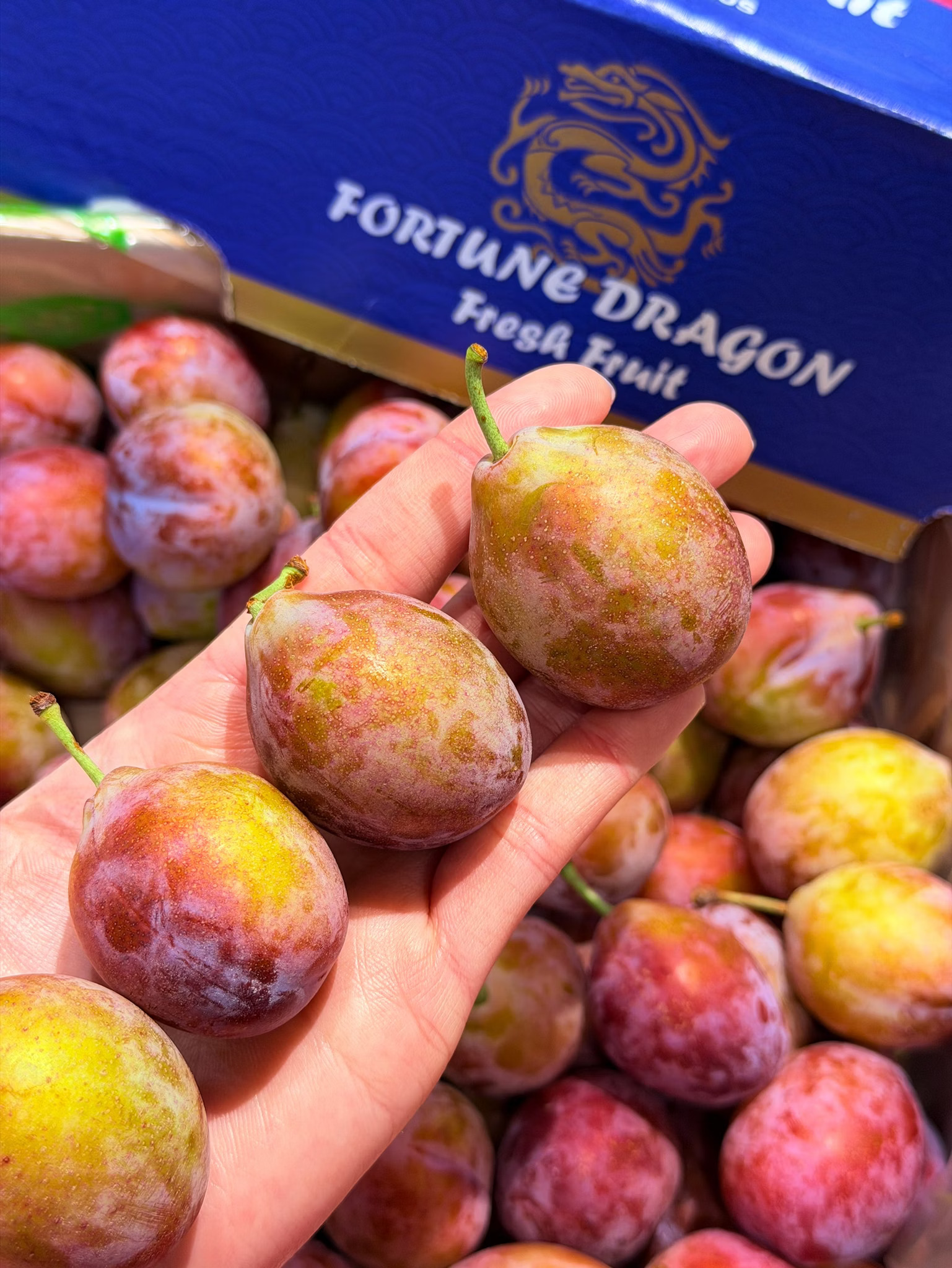 [芯鮮果]智利進口( 黃金蜜棗 ), , large