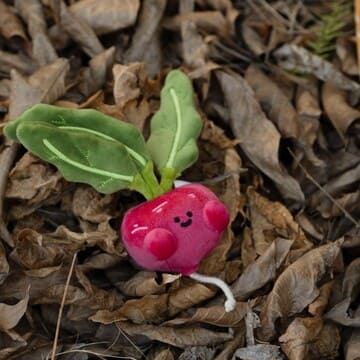 【際洋文化】蔔學多才-蘿蔔, , large