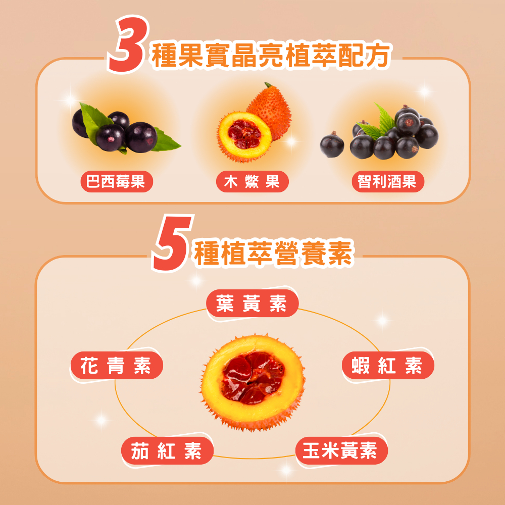 【花樹銀行】GAC FRUIT Plus2.0, , large