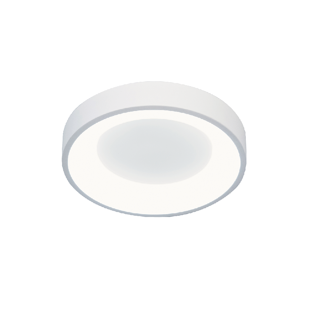 24W LED Ceiling-mounted Light, , large