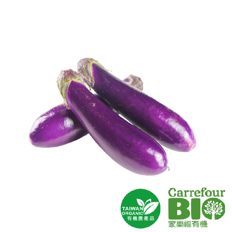 CFBIO Eggplant, , large