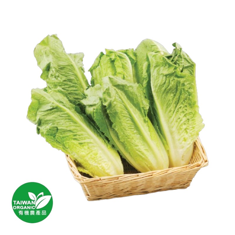 Organic Romaine 500g, , large