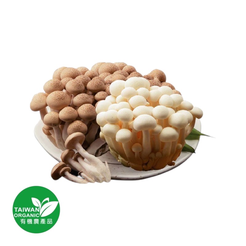 CFBIO Bunashimezi and Bunabii, , large