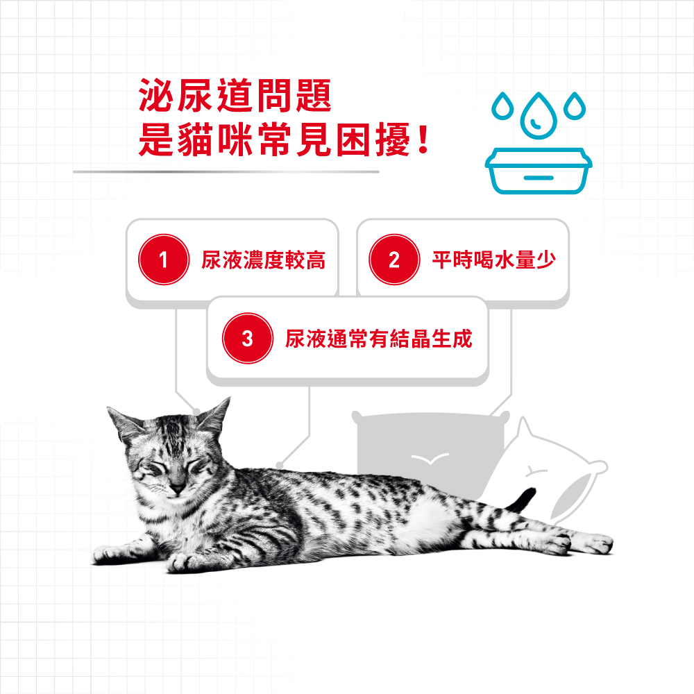 【拉拉寵物小舖】法國皇家 貓主食餐包 UC33W 泌尿道保健貓主食濕糧 貓主食濕糧, , large