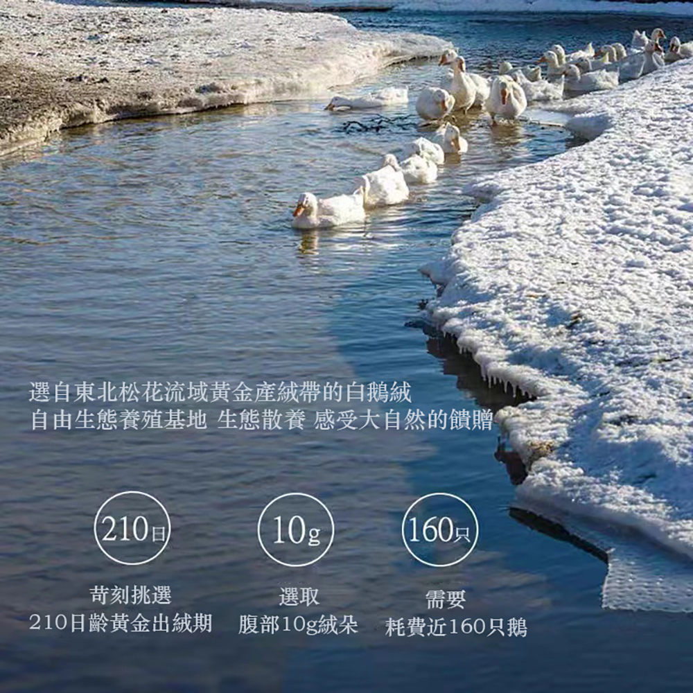 Hilton希爾頓鵝絨淺灰冬季羽絨被180*220CM, , large