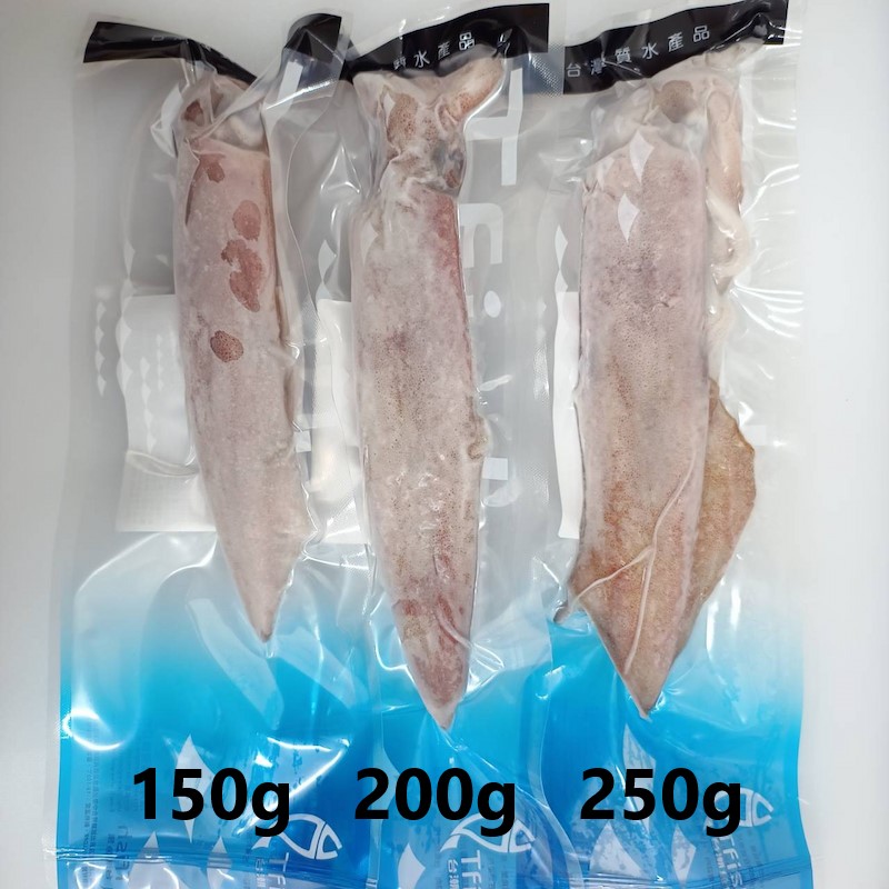 Neritic Squid, , large