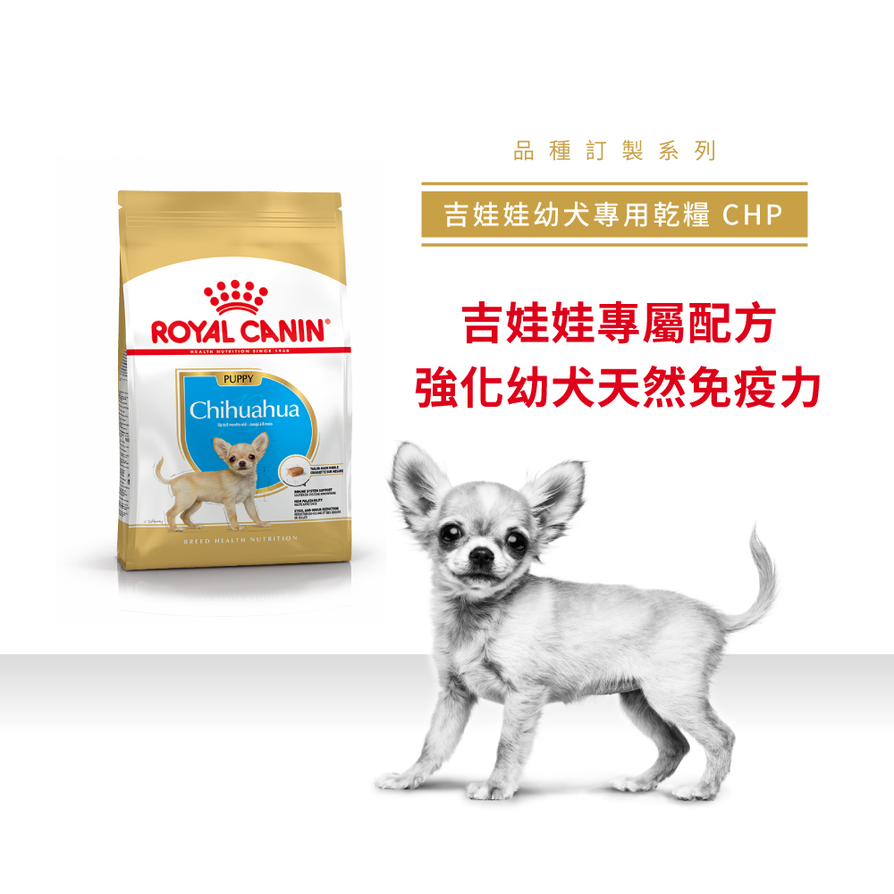 Royal Canin Chihuahua Puppy CHP, , large