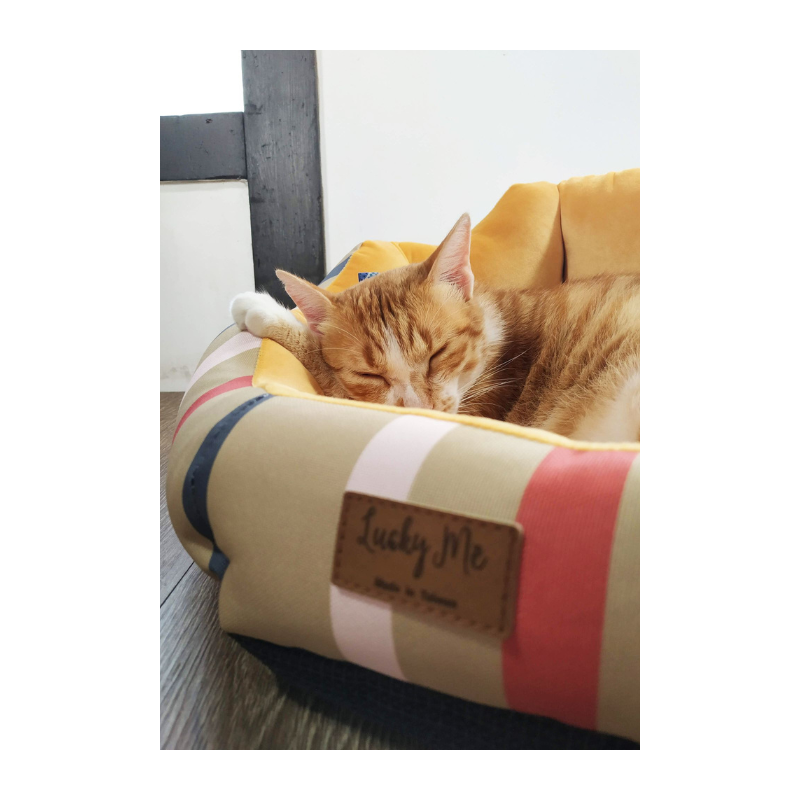 Lucky Me for pet, , large