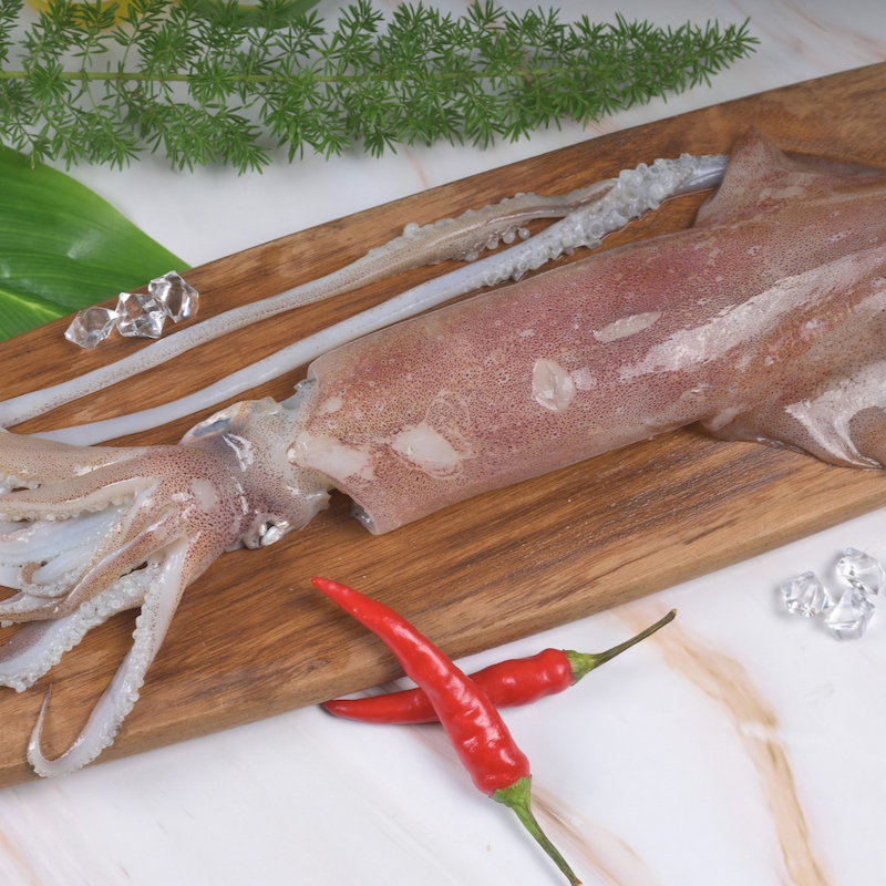 【一夫水產】海釣透抽-特大(250-300g/尾)