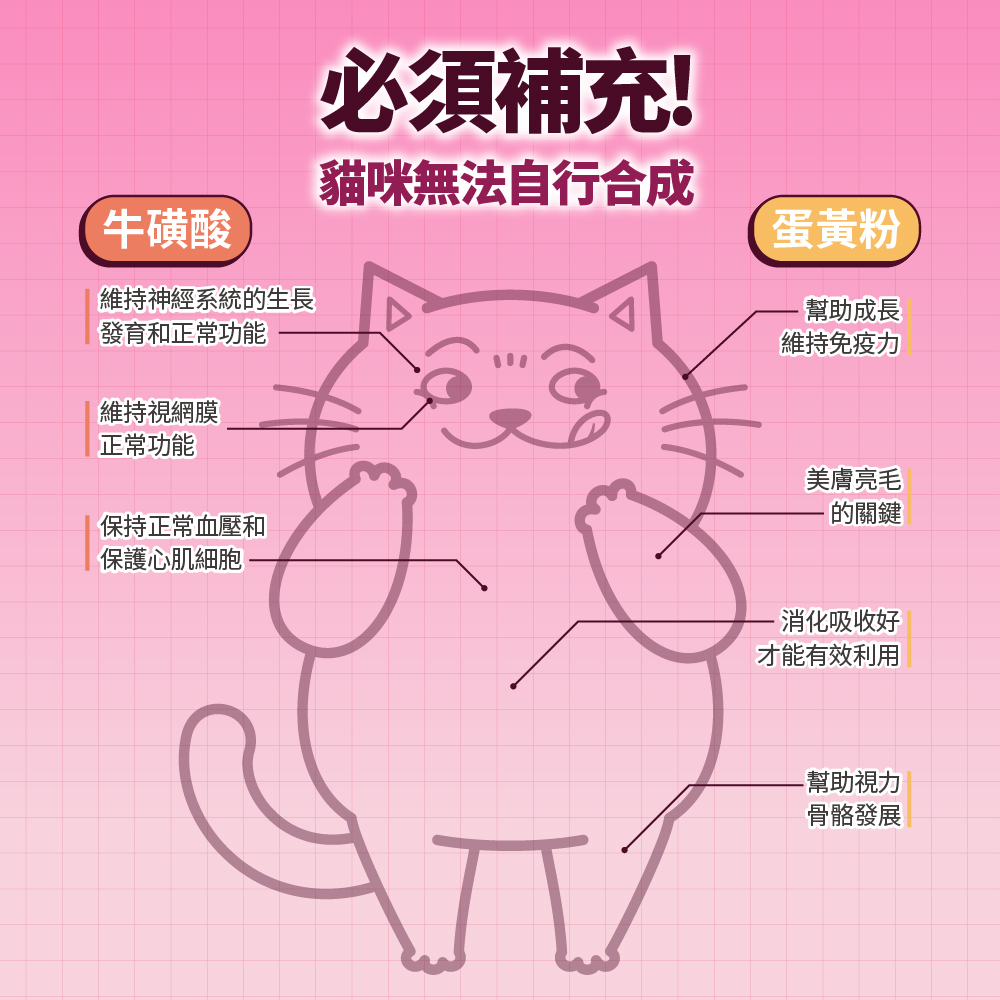 【拉拉寵物小舖】PAWPAWLAND 肉球世界 南極磷蝦美毛包 貓主食餐包, , large