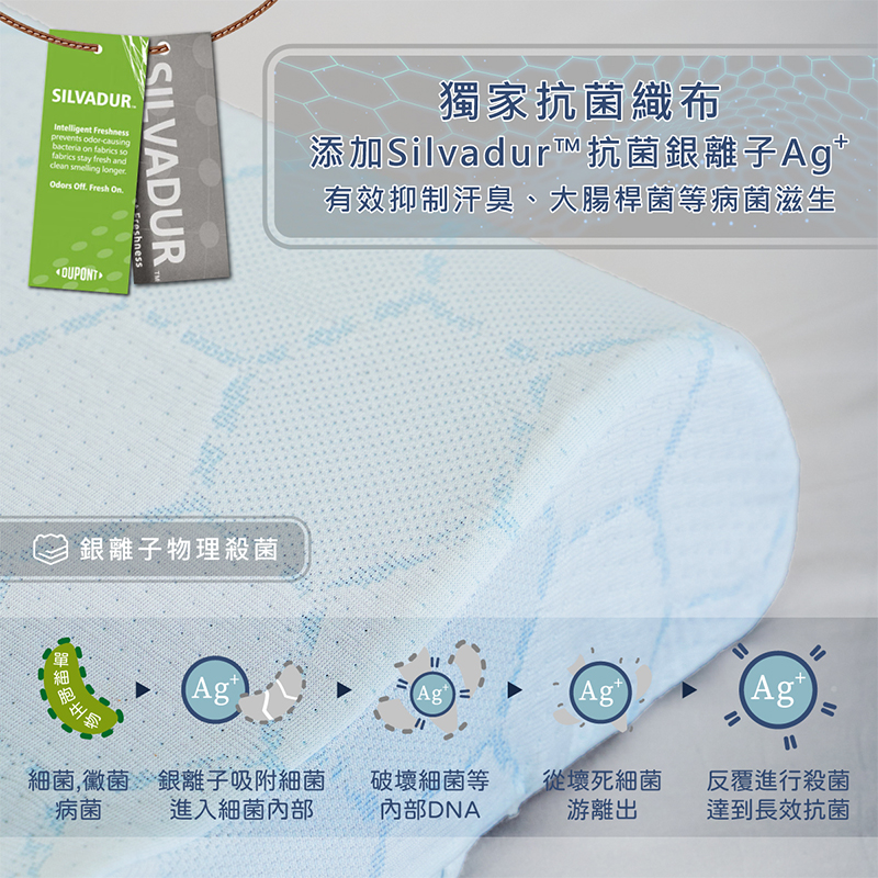 ［熊棉］記憶抗菌舒適天使枕, , large