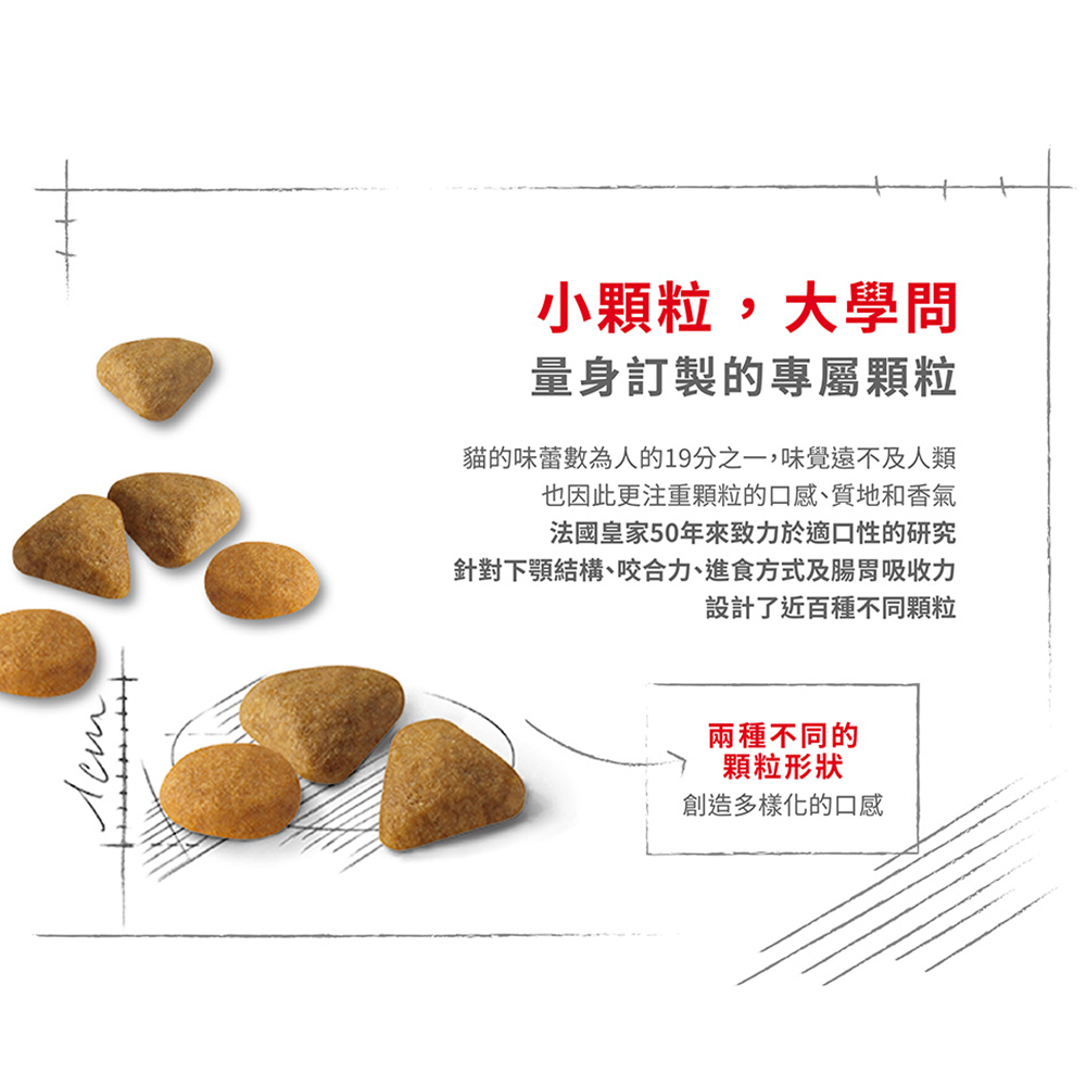 【Royal Canin法國皇家】挑嘴成貓絕佳口感乾糧 E35, , large