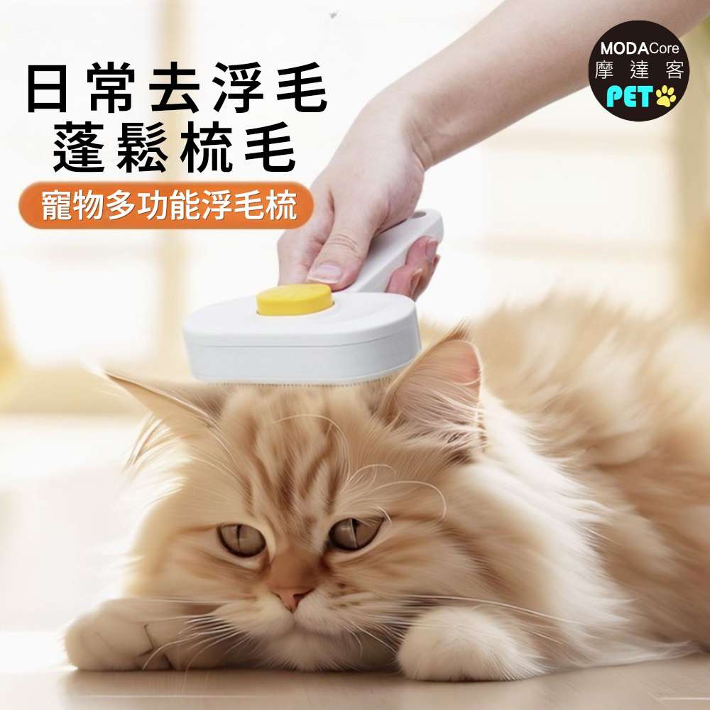 PETS, , large
