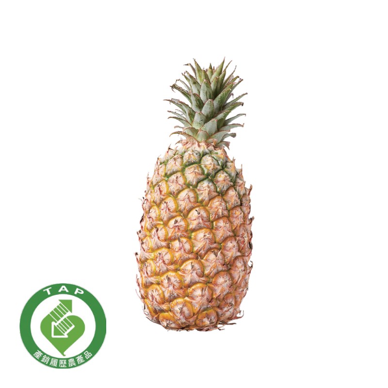 TAP Diamond Pineapple/pc, , large