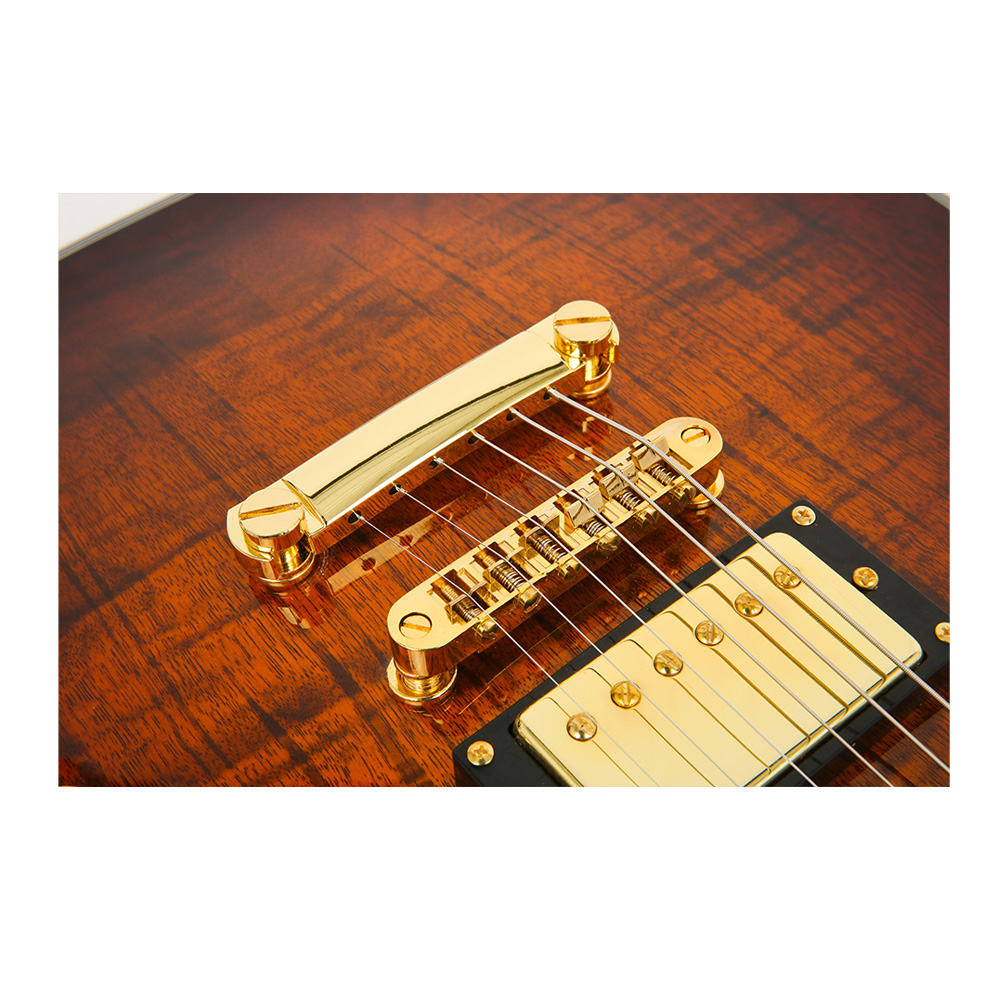 ESP GrassRoots G-ECLIPSE FM TGESB, , large