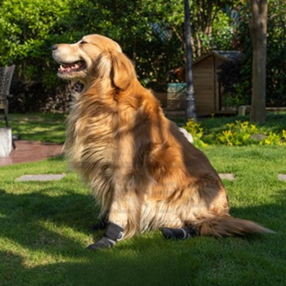 【寵愛生活本舖】寵物防潑水高筒運動鞋 狗鞋 大狗鞋 小狗鞋  犬鞋 寵物鞋, , large