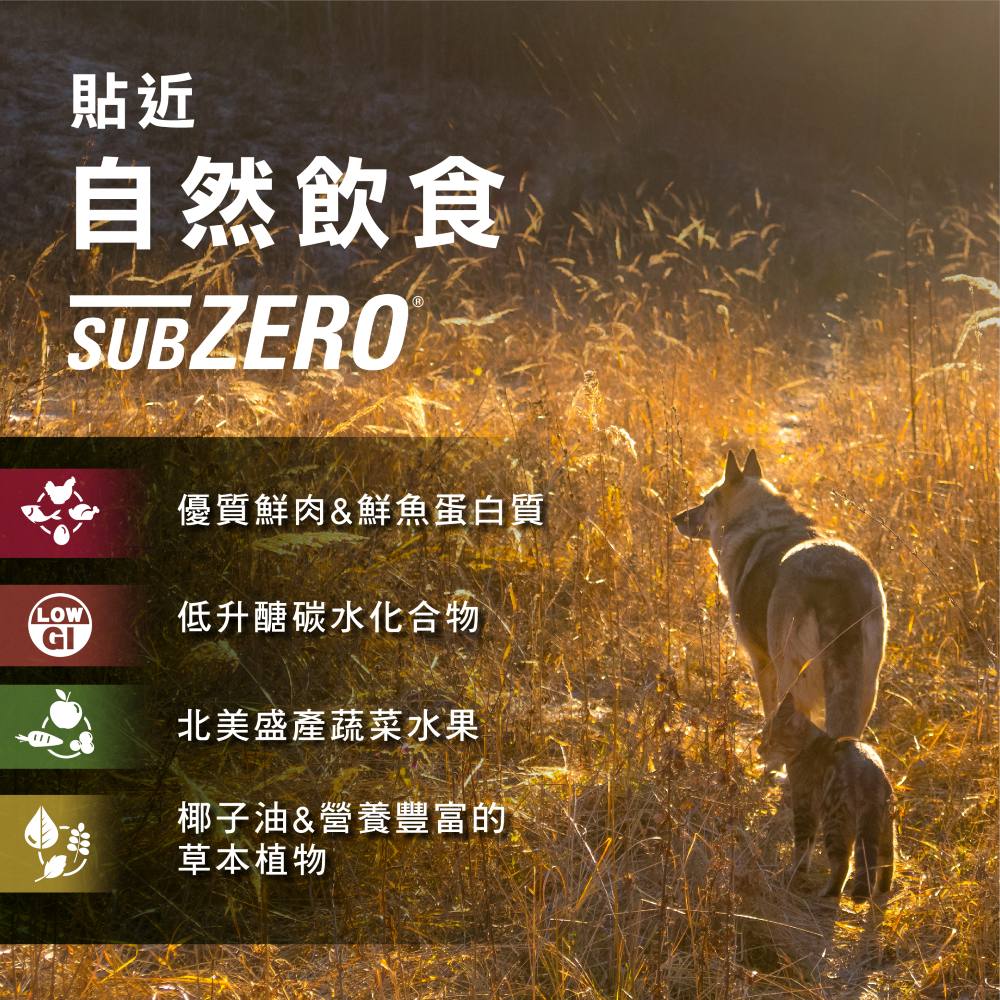 【拉拉寵物小舖】紐崔斯 貓飼料 頂級無穀貓+凍乾(七種魚)4.5公斤, , large