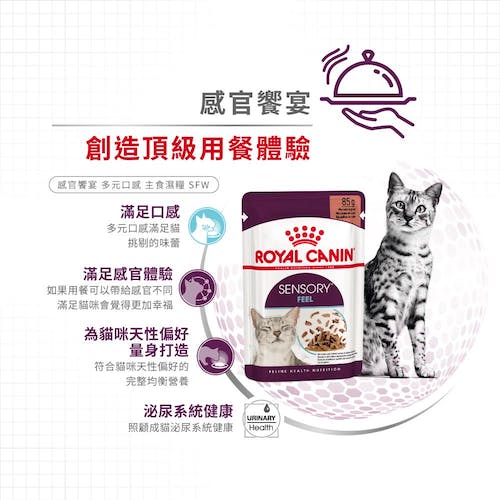 【拉拉寵物小舖】法國皇家 貓主食餐包 SFW 感官饗宴&trade; 多元口感主食濕糧 貓主食濕糧, , large