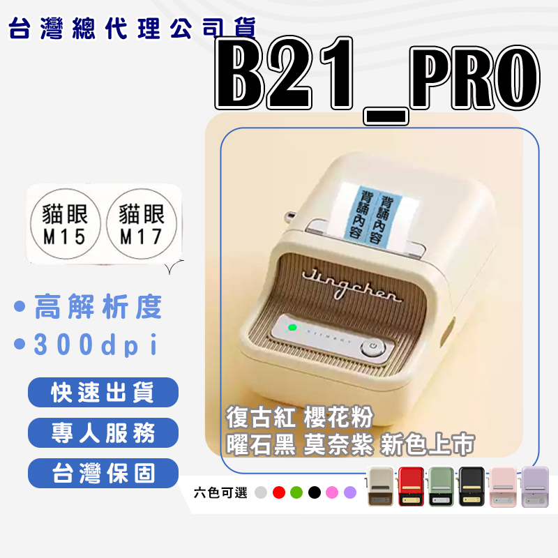 Niimbot B21_PRO, , large