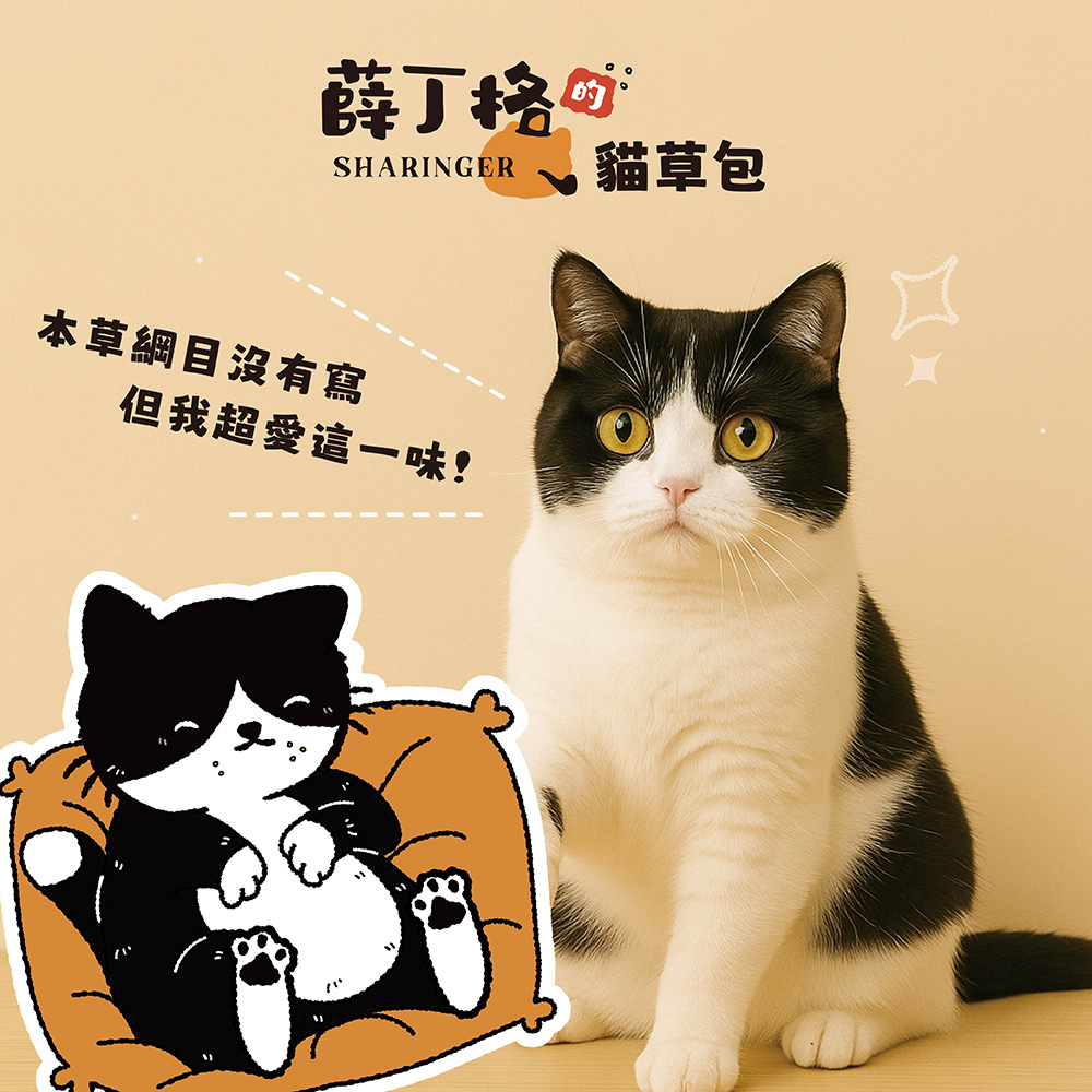 【薛丁格】貓草包 貓咪玩具 貓薄荷玩具 紓壓玩具 2入組 (多款任選), , large