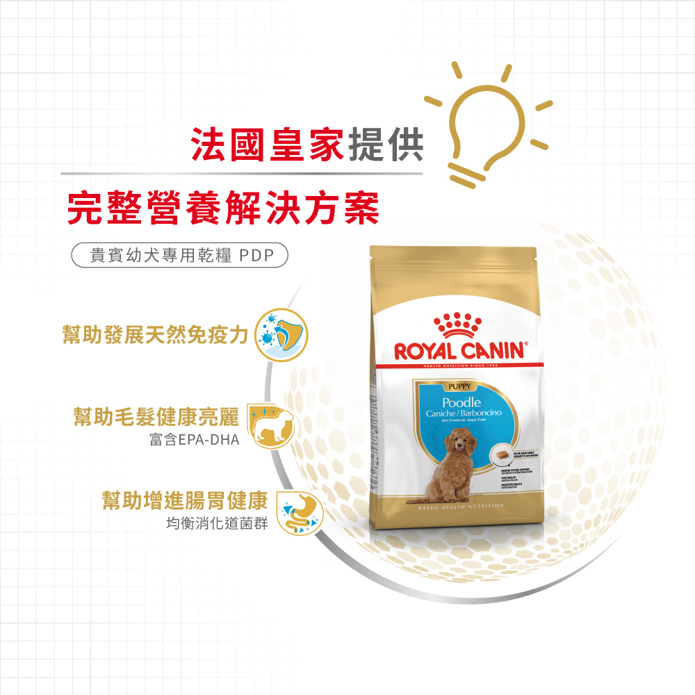【Royal Canin法國皇家】貴賓幼犬專用乾糧PDP, , large