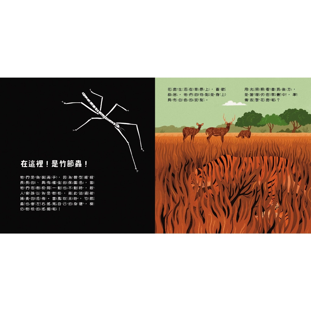 HOLIU CREATIVE CO.,LTD, , large