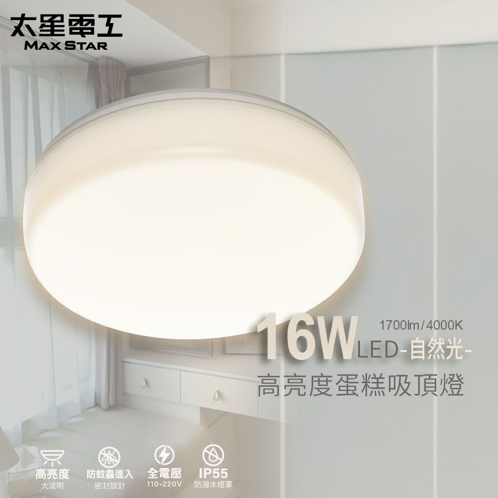 【Max star】LED high brightness cake ceiling lamp 16W/natural light, , large