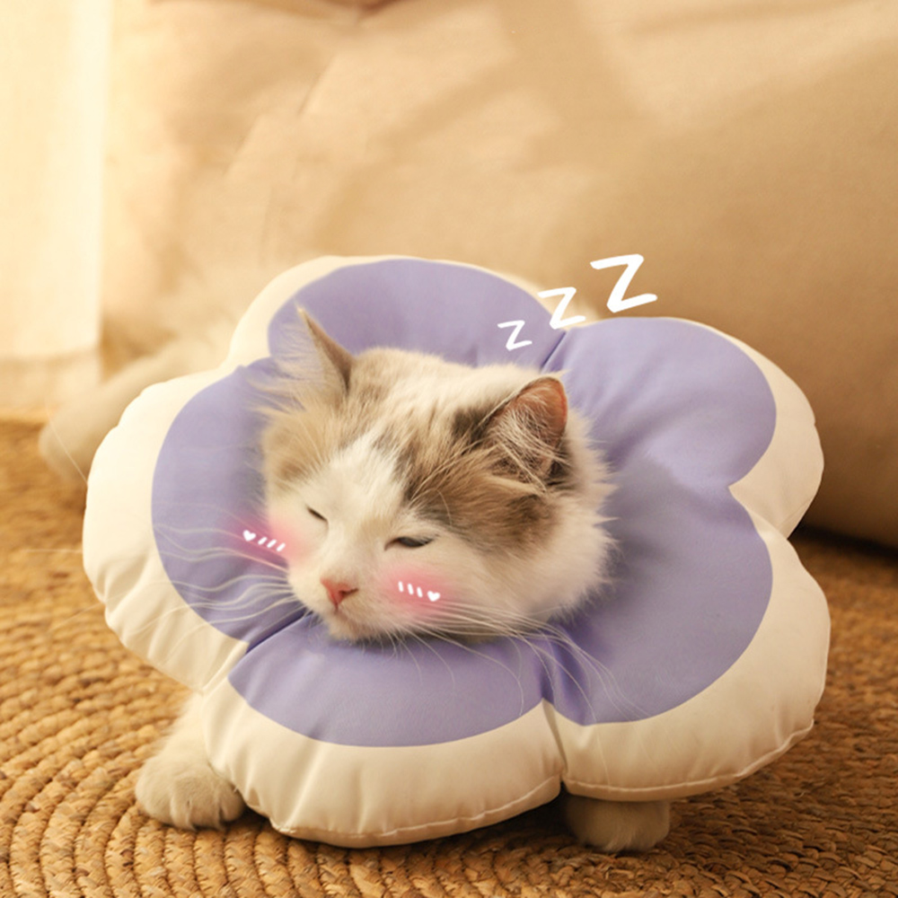 小花伊麗莎白圈 桃桃 寵物頸圈 絕育圈 防舔頭套, , large