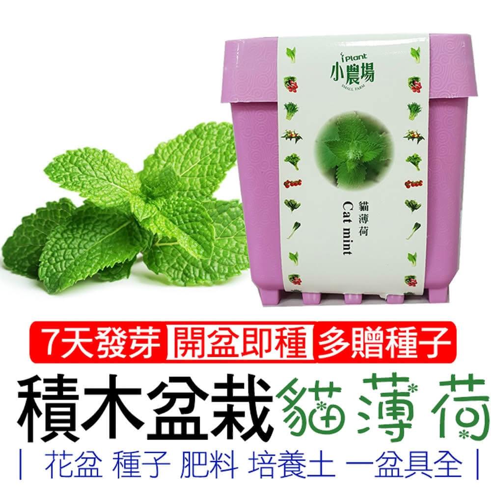 iPlant, , large